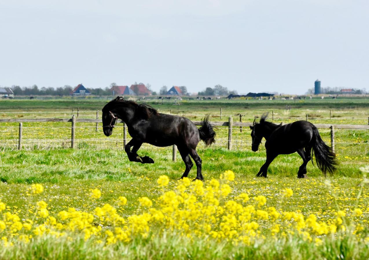 Het Melkhuis Op Prachtig Landgoed Koepeltjesplaats Gaast Экстерьер фото