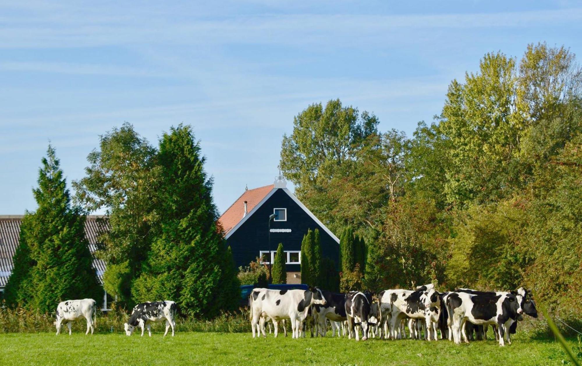 Het Melkhuis Op Prachtig Landgoed Koepeltjesplaats Gaast Экстерьер фото